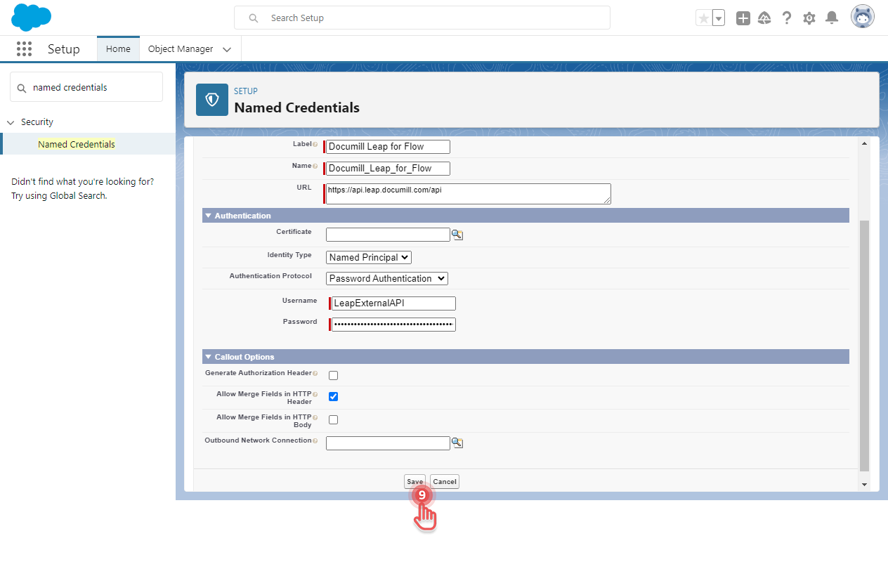 Named credential details.png