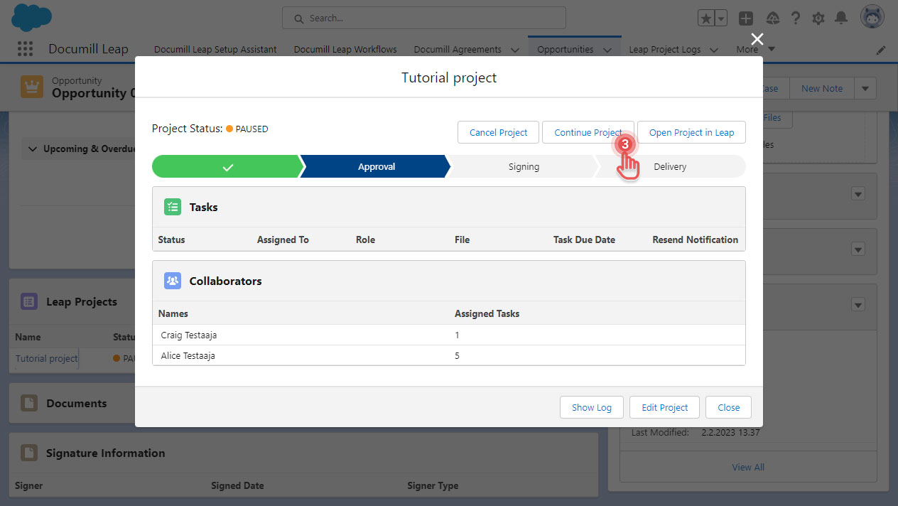 Manage live project - continue project resume.jpg