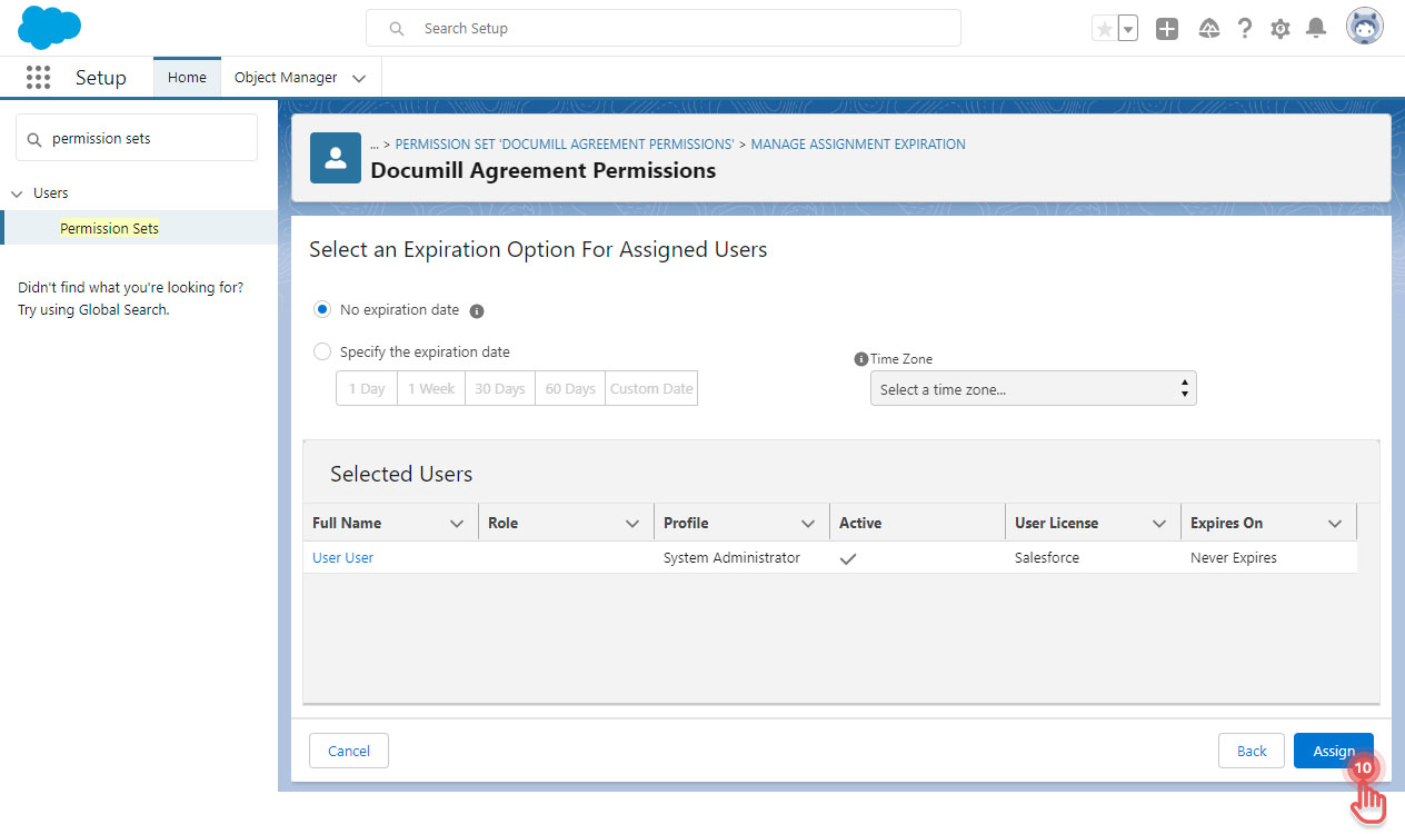 Assign permission set - assign.jpg