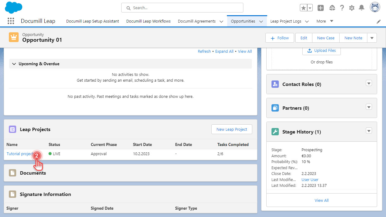 Manage live project - open project.jpg